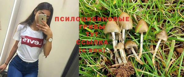 стафф Балабаново